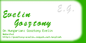 evelin gosztony business card